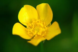インスタ基本の戦略を効果的に作成する方法は？