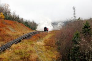 SNS運用代行での画像作成はどれくらい効果的？